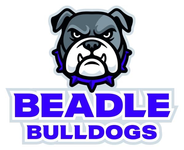 Beadle Bulldog