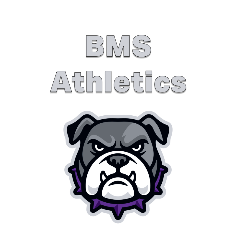 link to athletic website