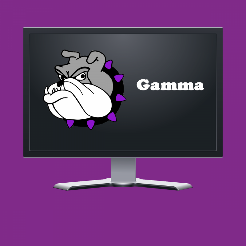 Image of Gamma homework hub