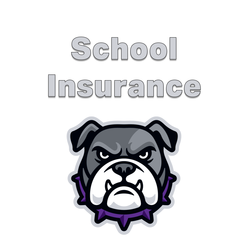 link to school insurance