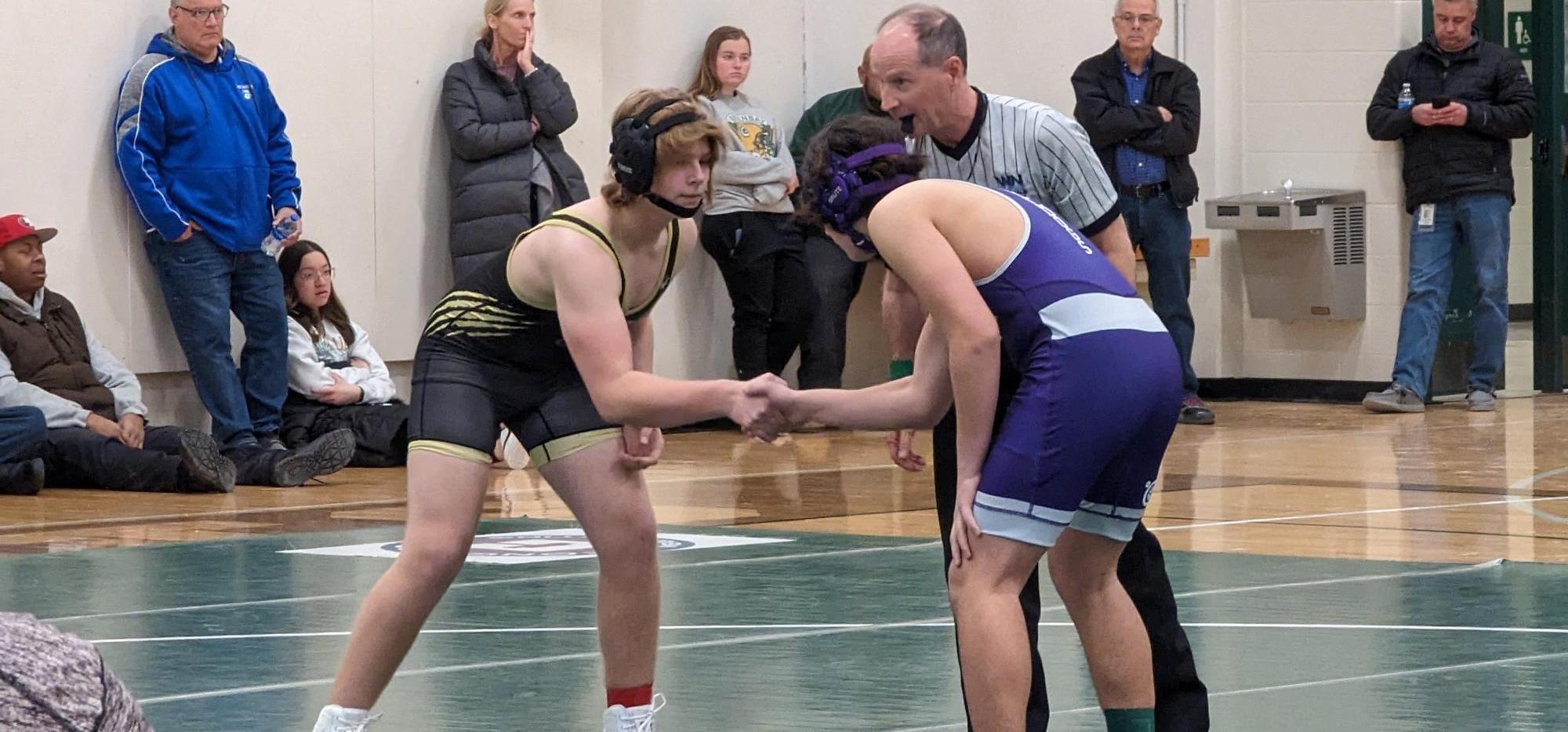 wrestling action