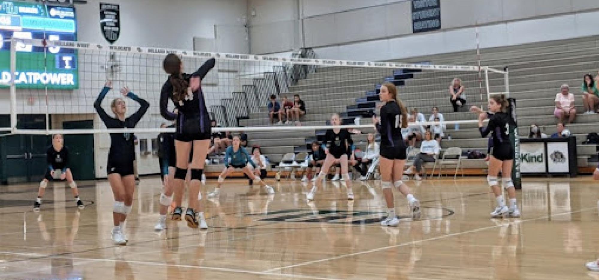 image of volleyball in action