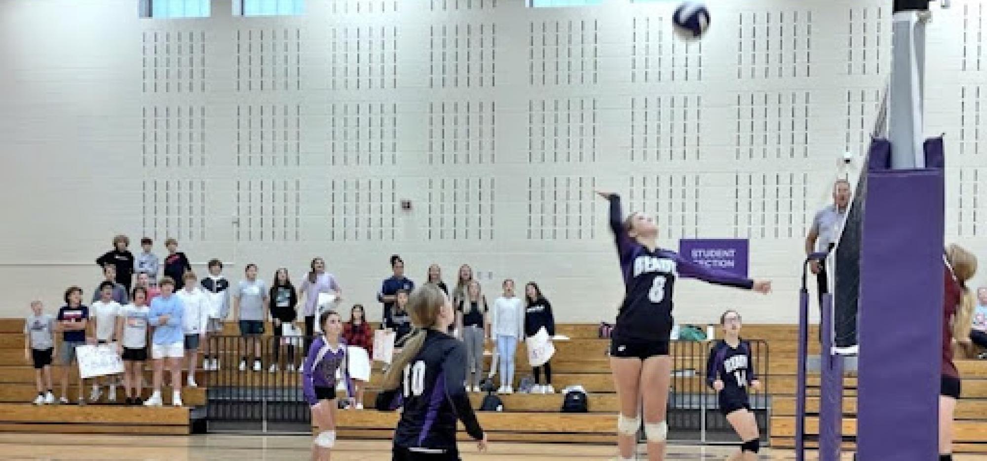 image of volleyball in action