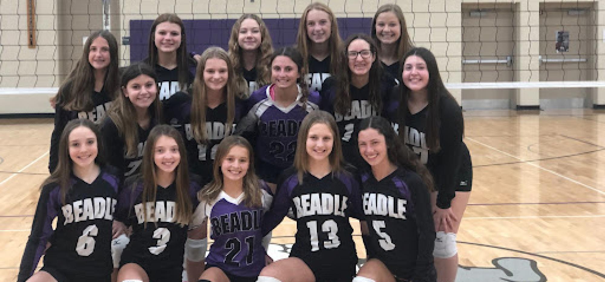 image of volleyball team